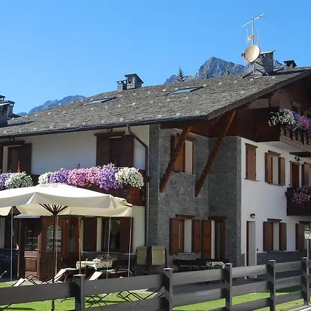 Gardenia * Bormio