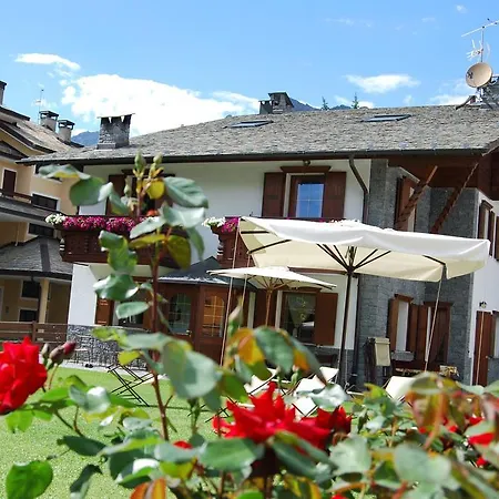 Gardenia * Bormio