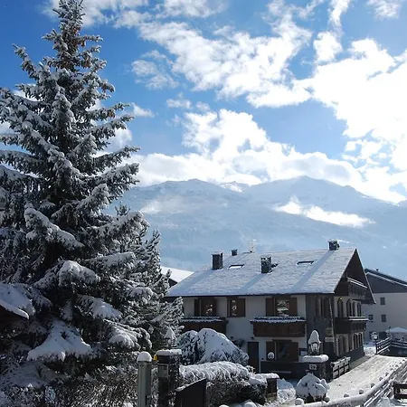 Gardenia * Bormio