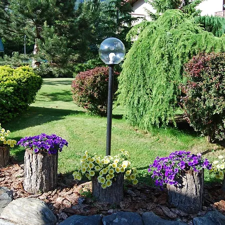 Gardenia * 博尔米奥