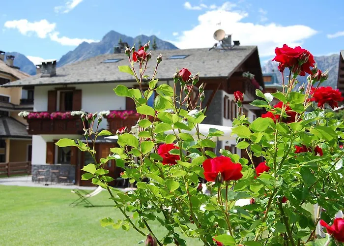 Gardenia Appartement